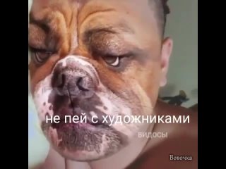 video by vovochka